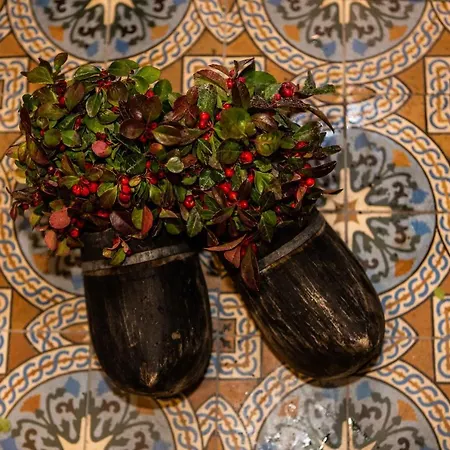 Alojamento de Acomodação e Pequeno-almoço De Pepersteeg